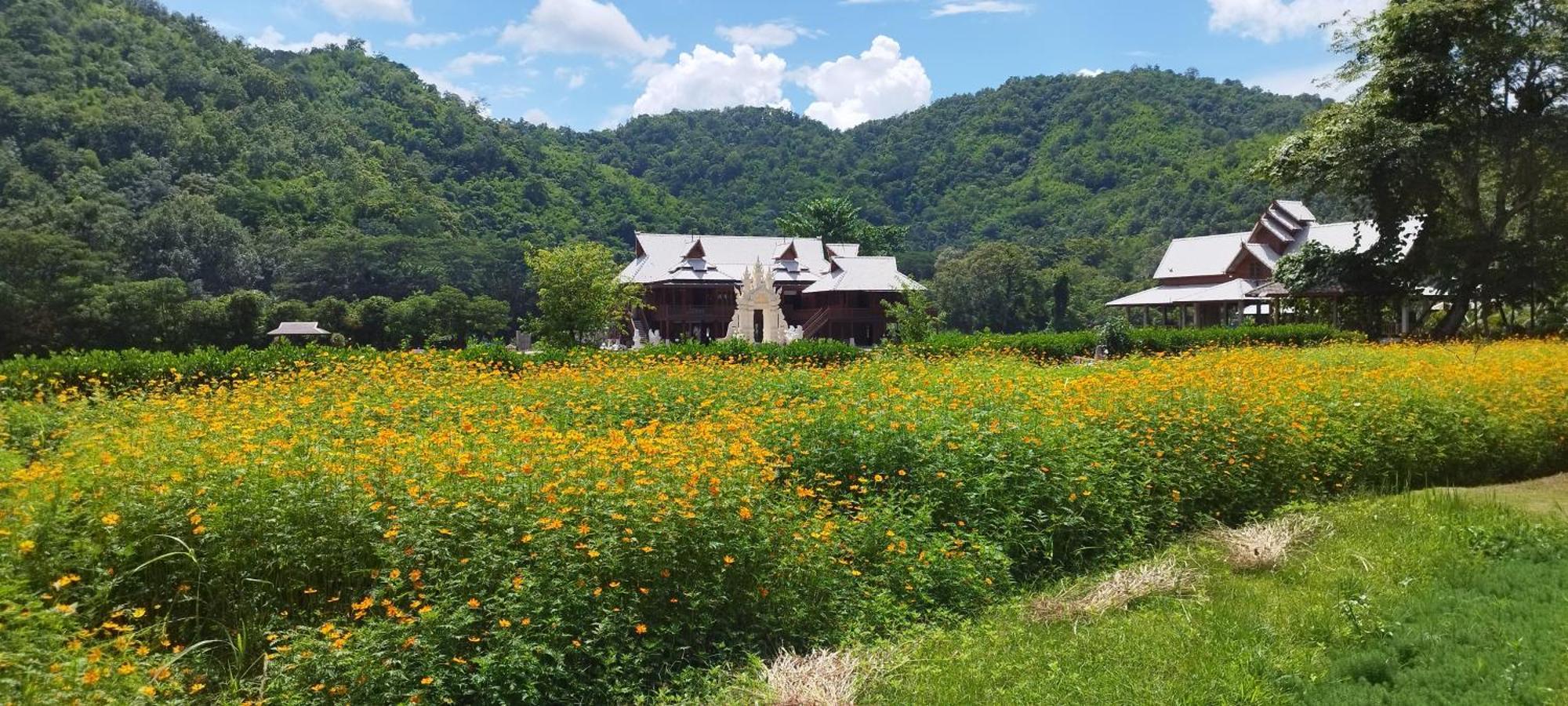 La Villa De Madame Su 清邁 外观 照片
