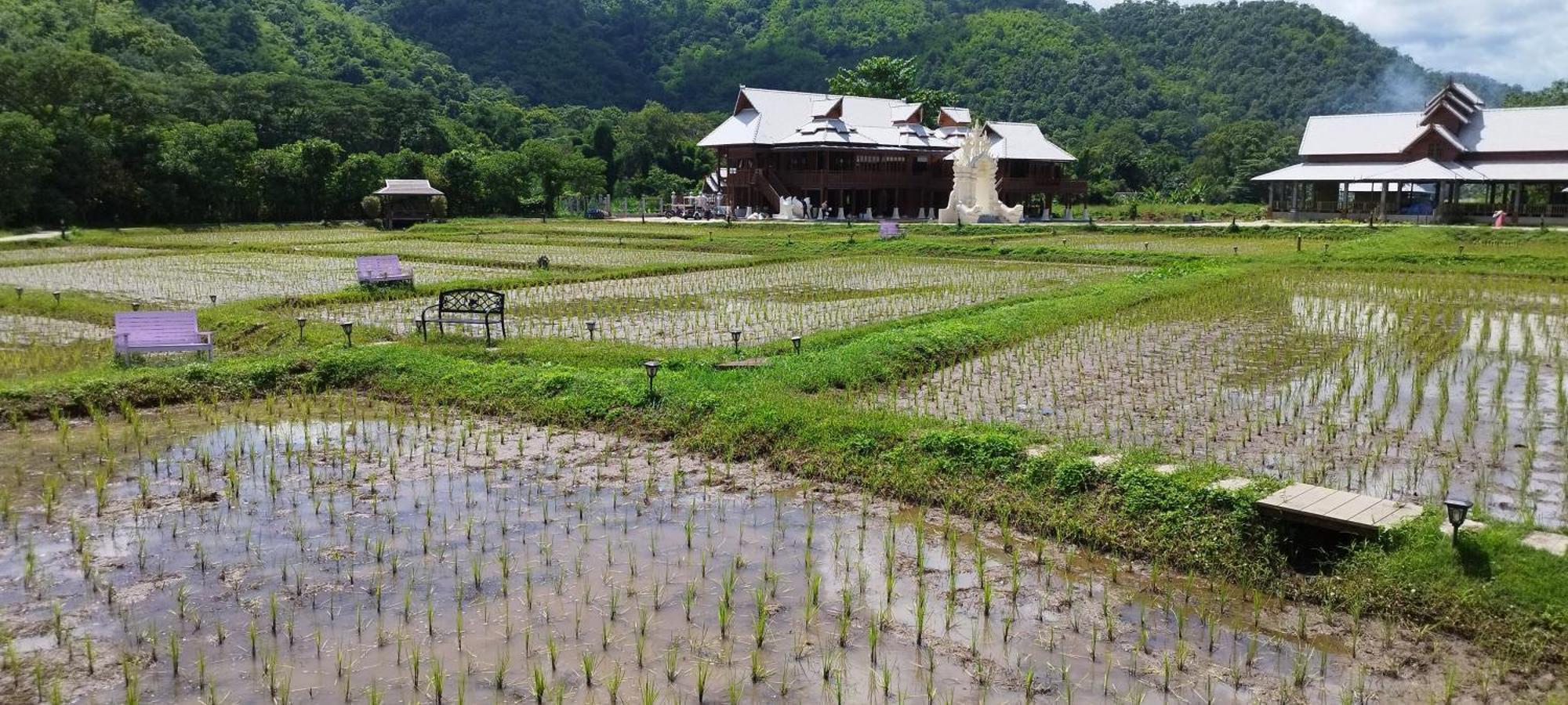 La Villa De Madame Su 清邁 外观 照片